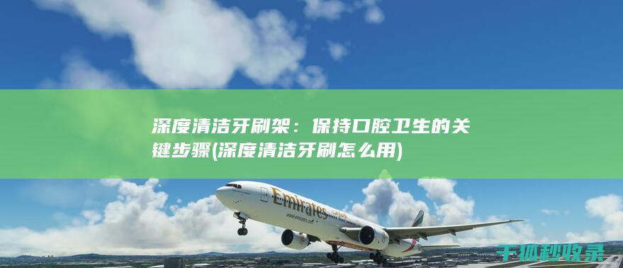深度清洁牙刷架：保持口腔卫生的关键步骤 (深度清洁牙刷怎么用)