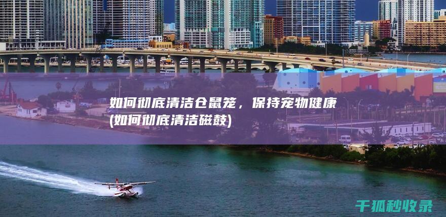 如何彻底清洁仓鼠笼，保持宠物健康 (如何彻底清洁磁鼓)