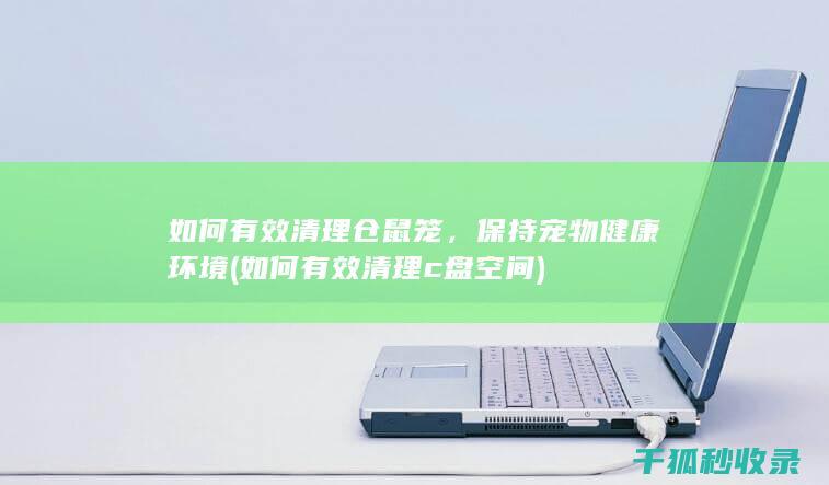 如何有效清理仓鼠笼，保持宠物健康环境 (如何有效清理c盘空间)