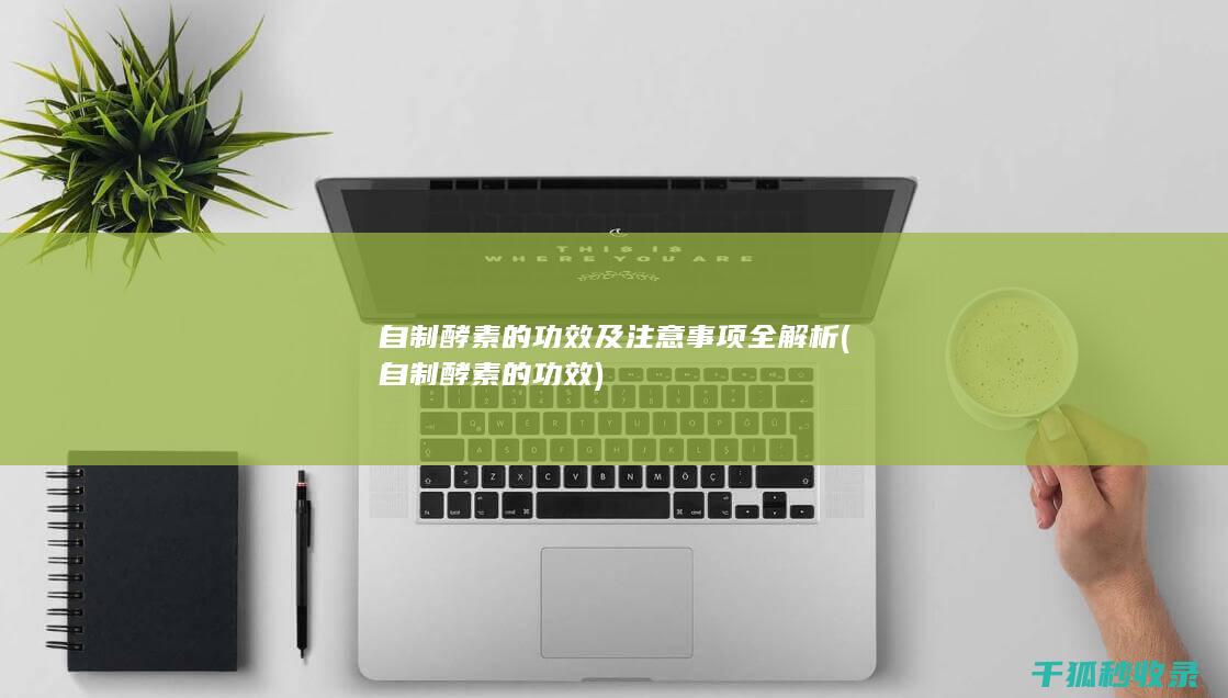 自制酵素的功效及注意事项全解析 (自制酵素的功效)
