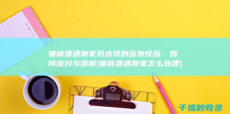 猫咪遭遇搬家后出现的应激反应：如何应对与缓解 (猫咪遭遇搬家怎么处理)