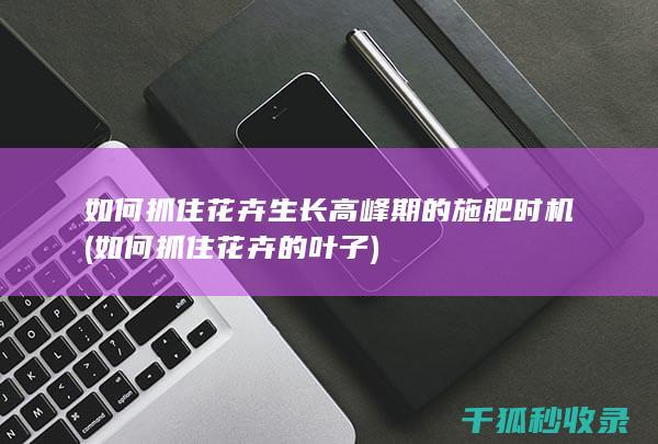 如何抓住花卉生长高峰期的施肥时机 (如何抓住花卉的叶子)