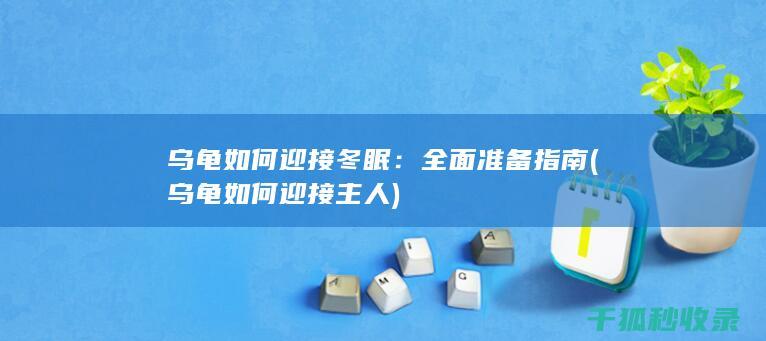 乌龟如何迎接冬眠：全面准备指南 (乌龟如何迎接主人)