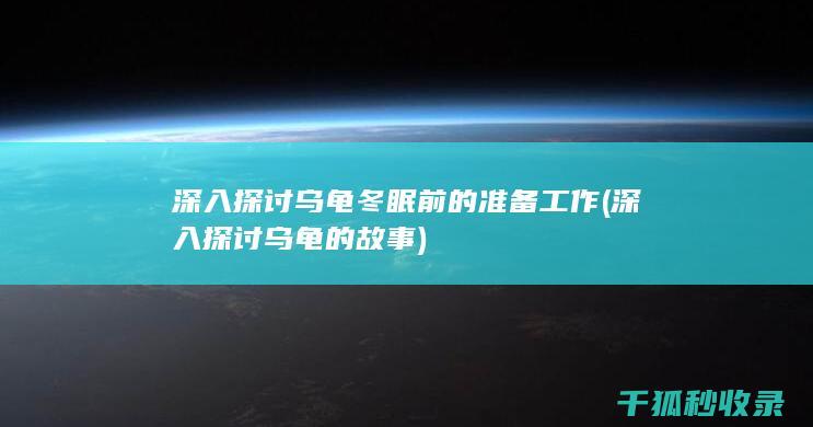 深入探讨乌龟冬眠前的准备工作 (深入探讨乌龟的故事)