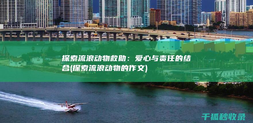 探索流浪动物救助：爱心与责任的结合 (探索流浪动物的作文)