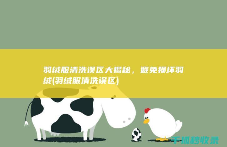 羽绒服清洗误区大揭秘，避免损坏羽绒 (羽绒服清洗误区)