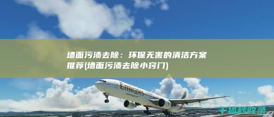墙面污渍去除：环保无害的清洁方案推荐 (墙面污渍去除小窍门)