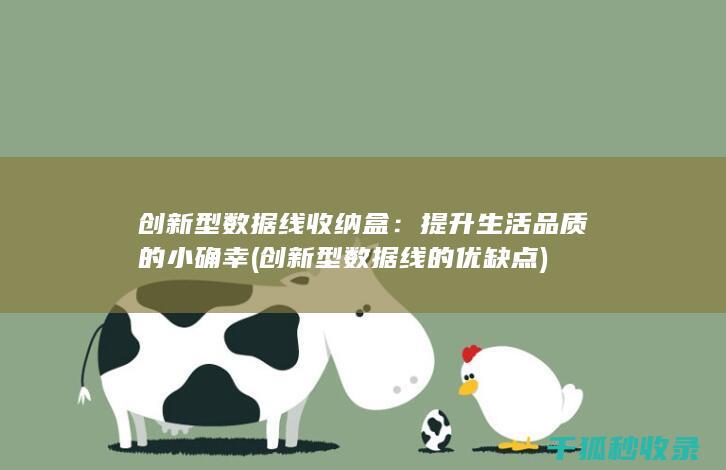 创新型数据线收纳盒：提升生活品质的小确幸 (创新型数据线的优缺点)
