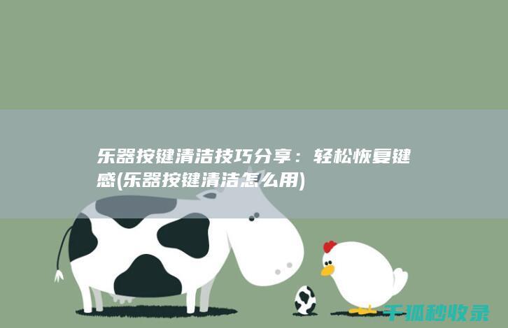 乐器按键清洁技巧分享：轻松恢复键感 (乐器按键清洁怎么用)