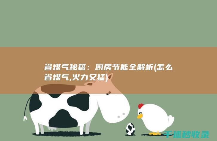 省煤气秘籍：厨房节能全解析 (怎么省煤气,火力又猛)