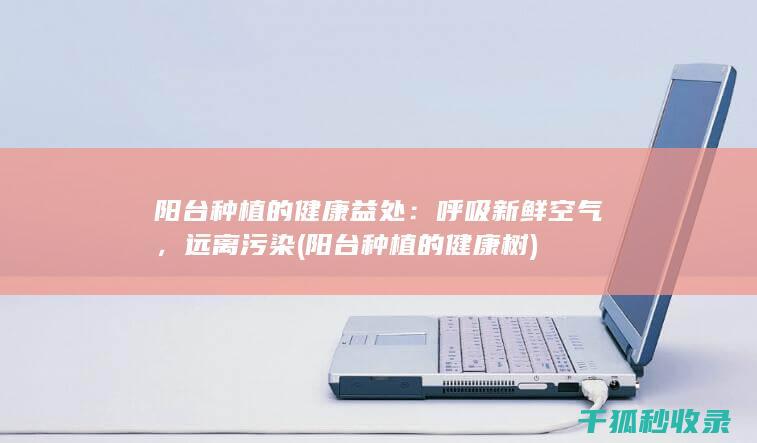 阳台种植的健康益处：呼吸新鲜空气，远离污染 (阳台种植的健康树)