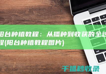 阳台种植教程：从播种到收获的全过程 (阳台种植教程图片)