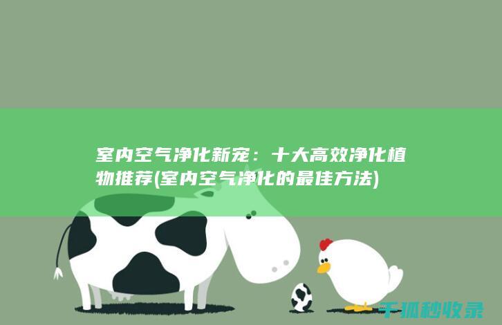 室内空气净化新宠：十大高效净化植物推荐 (室内空气净化的最佳方法)