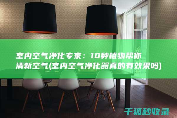 室内空气净化专家：10种植物帮你清新空气 (室内空气净化器真的有效果吗)