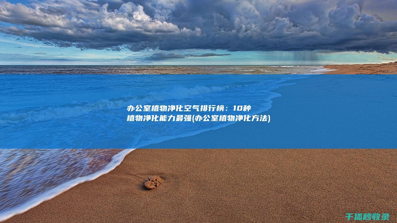 办公室植物净化空气排行榜：10种植物净化能力最强 (办公室植物净化方法)
