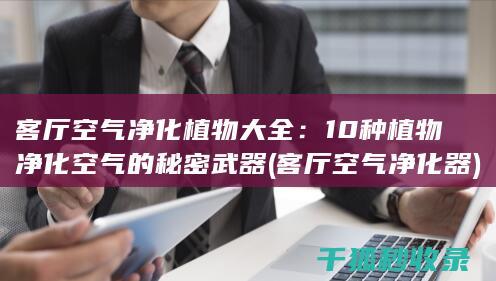 客厅空气净化植物大全：10种植物净化空气的秘密武器 (客厅空气净化器)