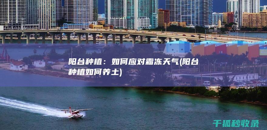 阳台种植：如何应对霜冻天气 (阳台种植如何养土)