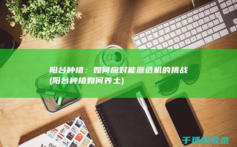 阳台种植：如何应对能源危机的挑战 (阳台种植如何养土)