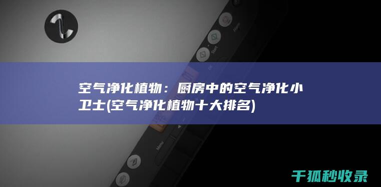 空气净化植物：厨房中的空气净化小卫士 (空气净化植物十大排名)