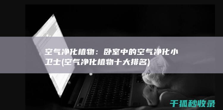 空气净化植物：卧室中的空气净化小卫士 (空气净化植物十大排名)