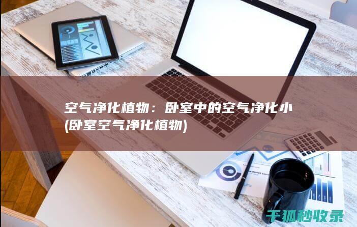 空气净化植物：卧室中的空气净化小 (卧室空气净化植物)