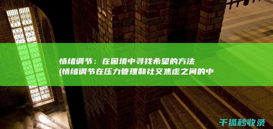 情绪调节：在困境中寻找希望的方法 (情绪调节在压力管理和社交焦虑之间的中介作用本文)