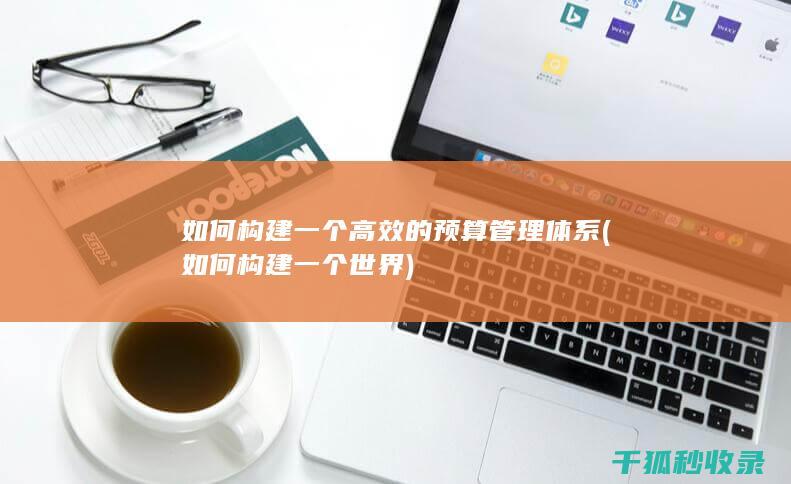 如何构建一个高效的预算管理体系 (如何构建一个世界)