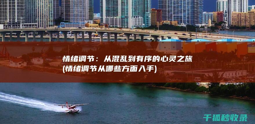 情绪调节：从混乱到有序的心灵之旅 (情绪调节从哪些方面入手)