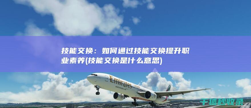 技能交换：如何通过技能交换提升职业素养 (技能交换是什么意思)