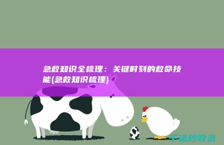 急救知识全梳理：关键时刻的救命技能 (急救知识梳理)