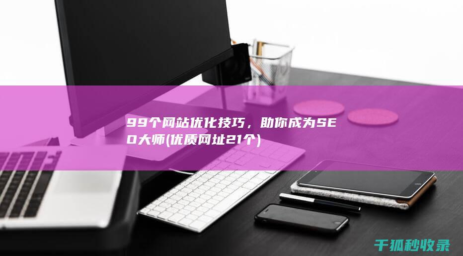 99个网站优化技巧，助你成为SEO大师 (优质网址21个)