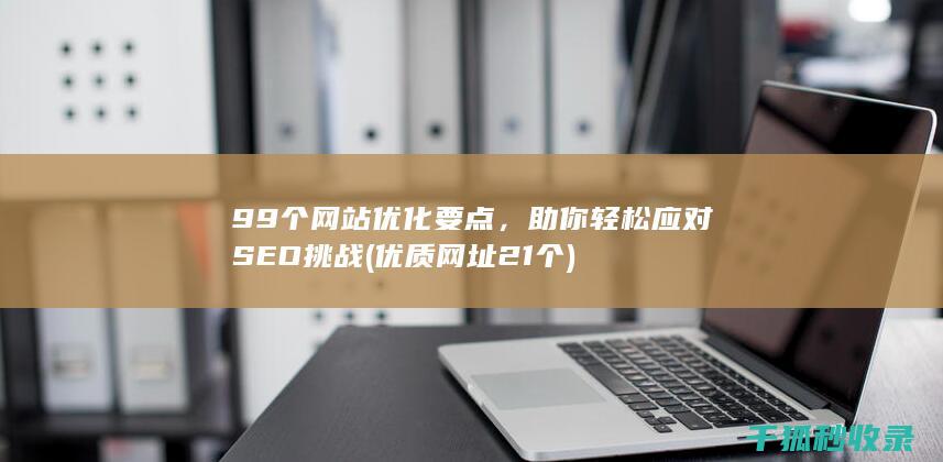 99个网站优化要点，助你轻松应对SEO挑战 (优质网址21个)