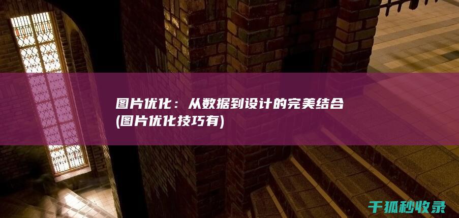 图片优化：从数据到设计的完美结合 (图片优化技巧有)