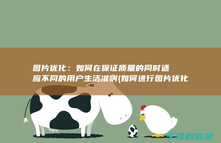 图片优化：如何在保证质量的同时适应不同的用户生活准则 (如何进行图片优化)