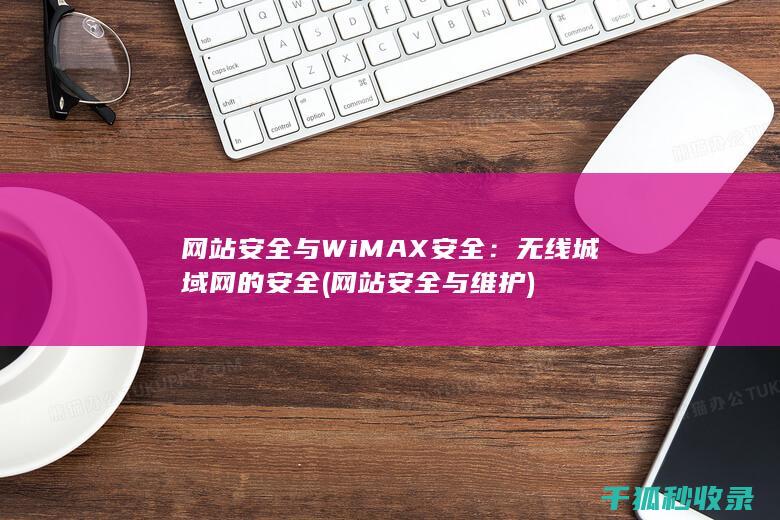 网站安全与WiMAX安全：无线城域网的安全 (网站安全与维护)