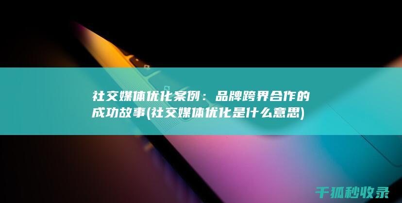 社交媒体优化案例：品牌跨界合作的成功故事 (社交媒体优化是什么意思)