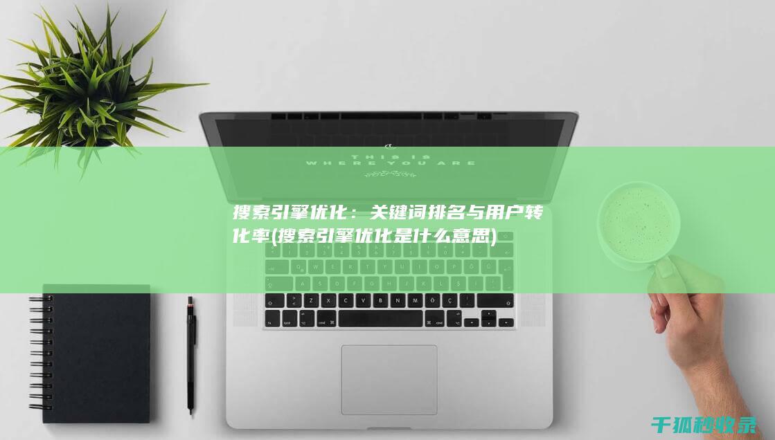搜索引擎优化：关键词排名与用户转化率 (搜索引擎优化是什么意思)