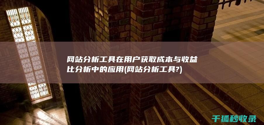 网站分析工具在用户获取成本与收益比分析中的应用 (网站分析工具?)