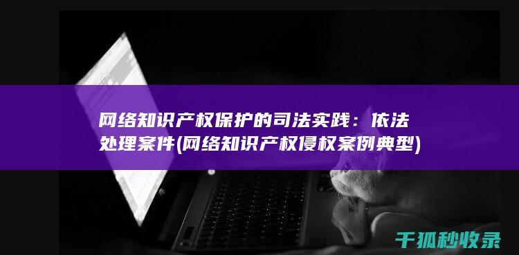 网络知识产权保护的司法实践：依法处理案件 (网络知识产权侵权案例典型)