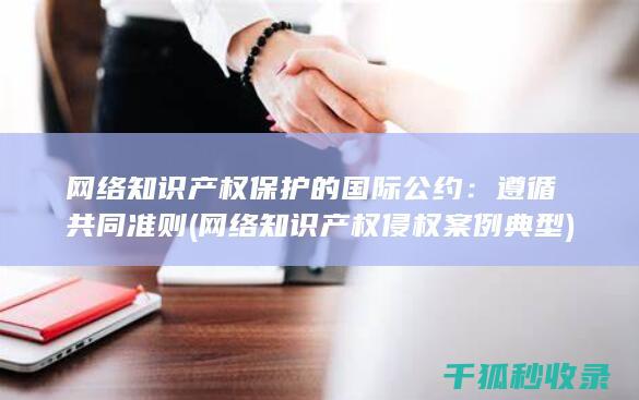 网络知识产权保护的国际公约：遵循共同准则 (网络知识产权侵权案例典型)
