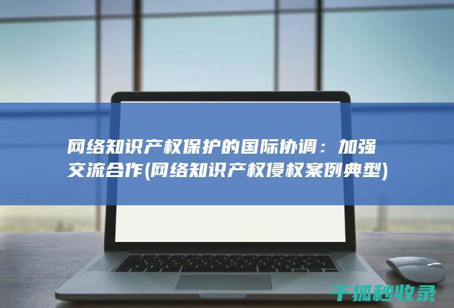 网络知识产权保护的国际协调：加强交流合作 (网络知识产权侵权案例典型)