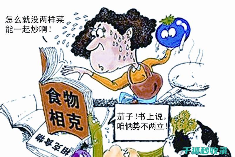 食物相克全解析：让你吃得更健康 (食物相克全解是什么)