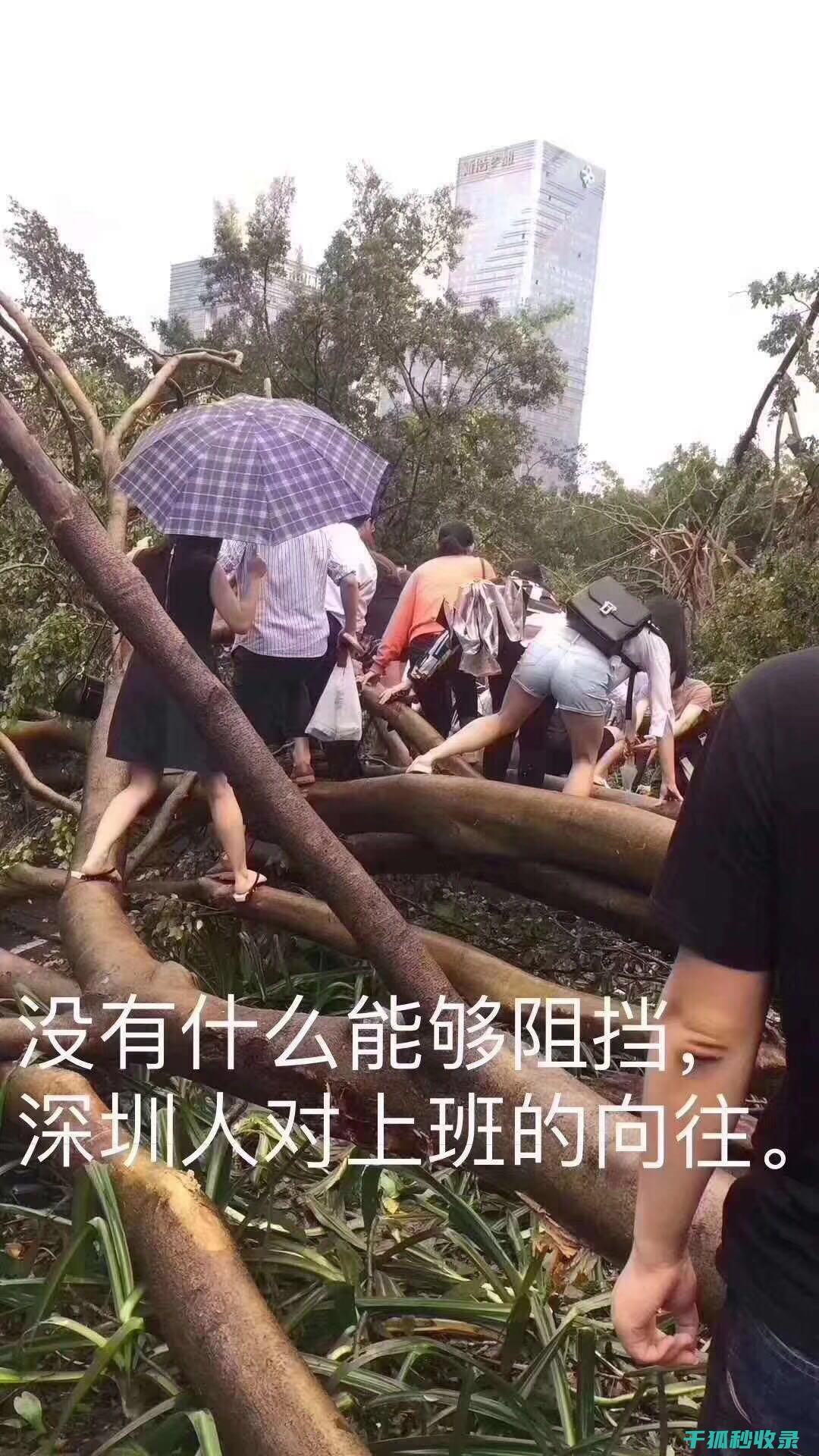 台风过后，饮用水安全防范要点全梳理 (台风过后饮食注意事项)