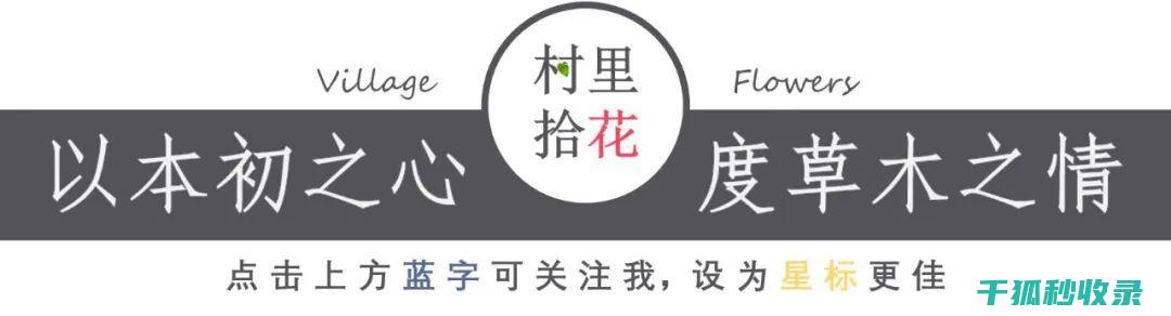 地倒设施与宠物摄影之旅：捕捉美好瞬间的旅程 (倒置地形)