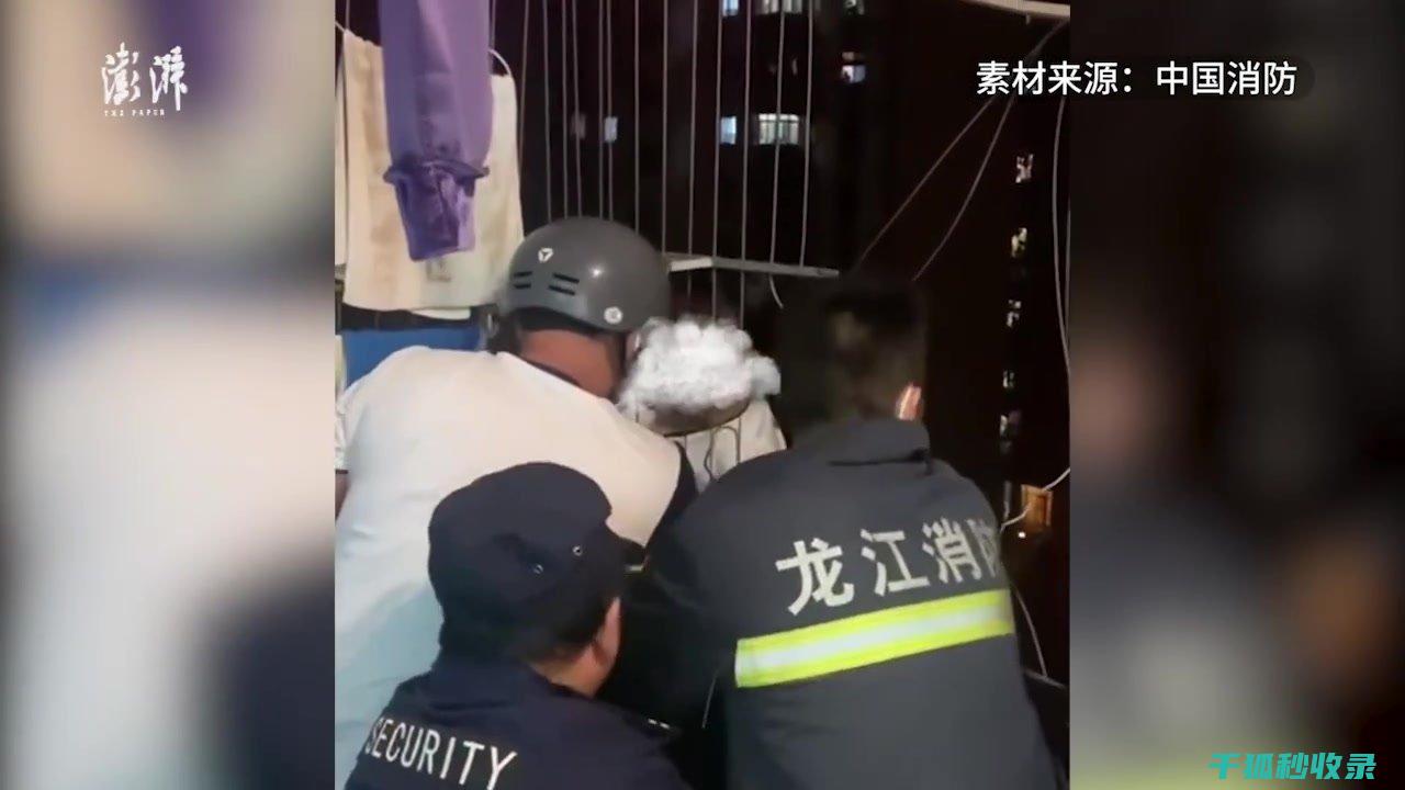 地倒设施与宠物医疗中心：关怀宠物健康的机构 (倒置地形什么意思)