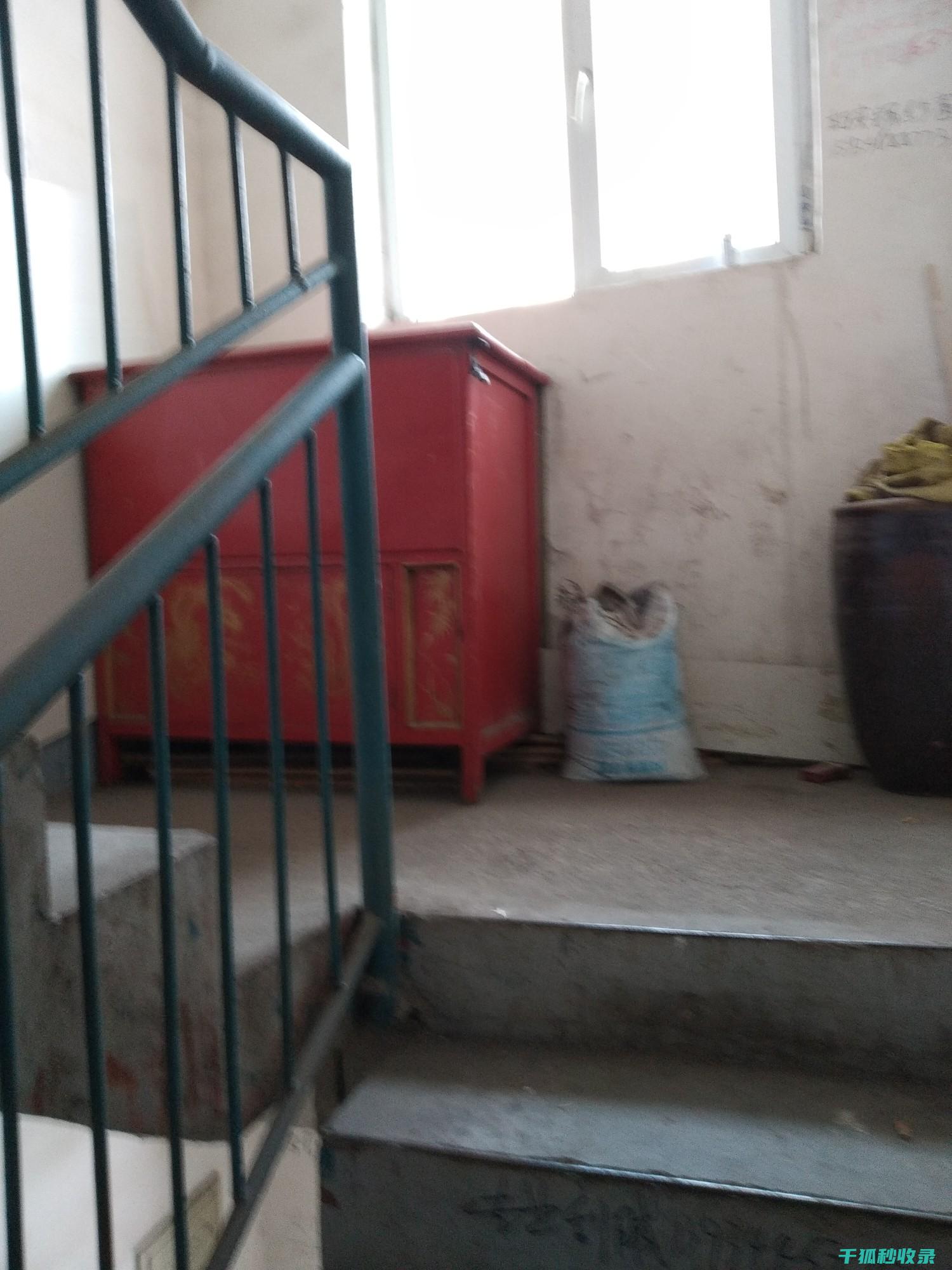 地倒设施与宠物救援行动：救助受困宠物的场所 (倒置地形什么意思)
