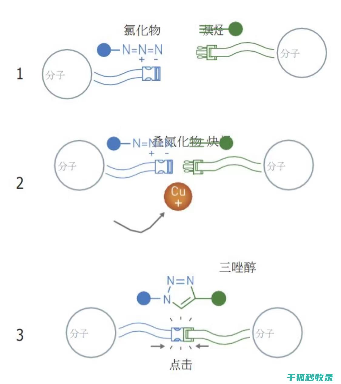 化学品存放规范：避免储存风险的有效策略 (化学品存放规范最新版)