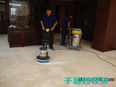 地毯除螨全记录：从问题到解决方案的过程 (地毯除螨用什么药)