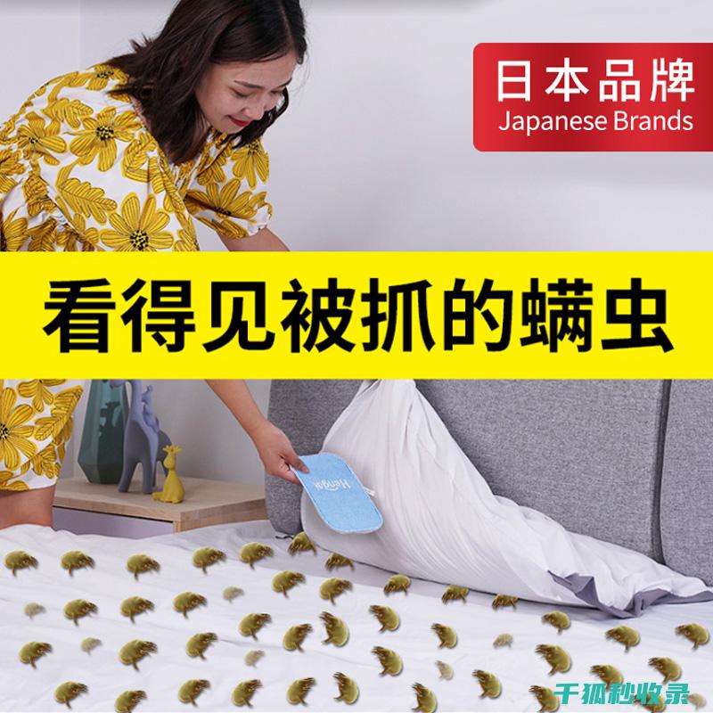 地毯除螨秘籍 | 快速有效的除螨方法 (地毯除螨秘籍怎么用)