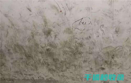 墙面污渍处理：清洁后的保养与防护措施 (墙面污渍处理小妙招)